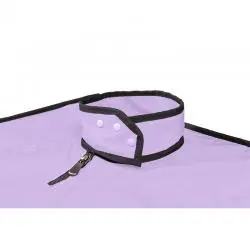 Secret dome - kink club la niche cabina morado