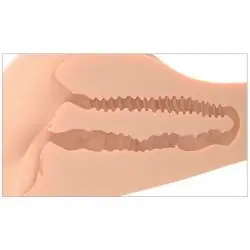 Pdx plus - 360 banger masturbador ano y vagina realísticos