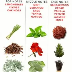 Eye of love - eol perfume feromonas 10 ml - romantic