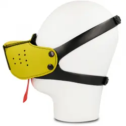 Ohmama fetish - bozal perro amarillo