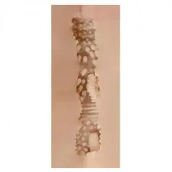 Shequ - michelle masturbador vagina