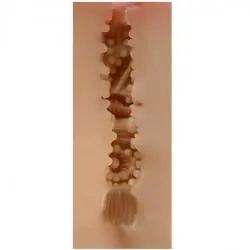 Shequ - maureen masturbador vagina