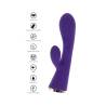 ToyJoy Ivy Iris con sus iconos