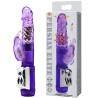 Rabbit Baile Persian Elite morado con su caja
