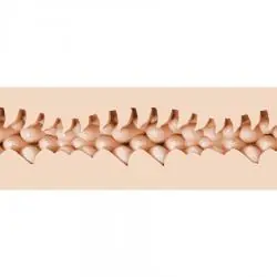 Fleshlight fantasy - evie akashiya vagina