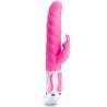 Smart pretty love steven rabbit lila - 1