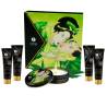 Geisha secret kit exotic té verde - 2