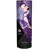Shunga colección placeres carnales - 2