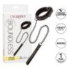 Boundless Collar & Leash, caja con iconos de características