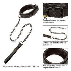 Calexotics - boundless collar con correa