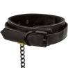 Boundless Collar & Leash, detalle de la hebilla del collar