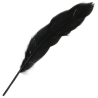 Pluma negra del set Ohmama nº 3