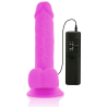 Diversia 20,5 cm lila, vista frontal con ventosa y mando
