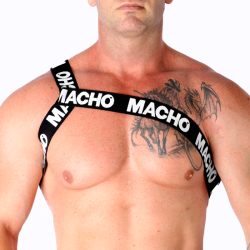 Macho - arnes romano - - 17
