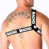 Macho - arnes romano - 19