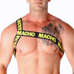 Macho - arnes romano -  - 25