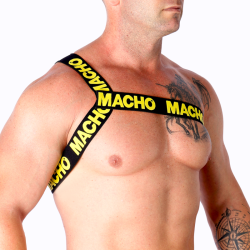 Macho - arnes romano -  - 26