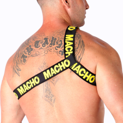 Macho - arnes romano -  - 27