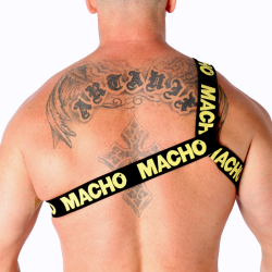 Macho - arnes romano -  - 28