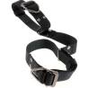 Brazaletes del Bicep Binder con anilla en V y hebillas