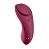 Satisfyer sexy secret panty - 5