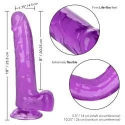 Calexotics - size queen dildo lila 20.3 cm Calexotics - size queen dildo lila 20.3 cm