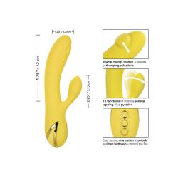 Calexotics - san diego seduction