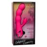 Calex oceanside orgasm - 3