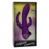 Calex long beach bootylicious purple - 2