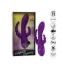 Calex long beach bootylicious purple - 5