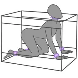 Secret dome - kink club la niche cabina morado