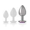 Plugs anales Intense de metal con joya en tres tallas