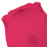 Primer plano del Mia Rose rojo