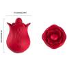 Medidas de la rosa Armony con lengua texturizada
