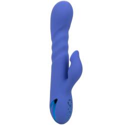 Calexotics - l.a love vibrador & ondas estimuladoras azul by california dreaming - - 4