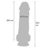 Diagrama del Get Real de 34,5 cm con 28,5 cm insertables y 7,5 cm de diámetro
