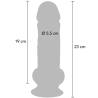Diagrama del Get Real de 23 cm con 19 cm insertables y 5,5 cm de diámetro
