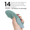 Infografía de los 14 niveles de Womanizer Next