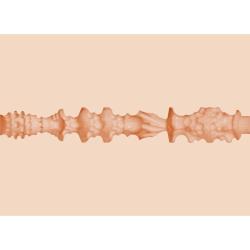 Fleshlight girls - mia malkova headshot boca - 4