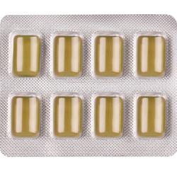 wug diet chicle sin azucar menta - 3