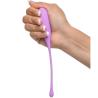 Fantasy for her set bolas kegel - 5