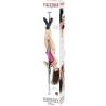 Caja de la barra Fantasy Dance Pole