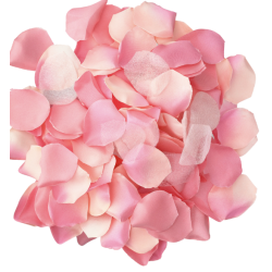 Diablo picante - 100 pétalos rosa - 2