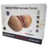 Caja de SILEXD Helenita Female Torso de 4,12 kg