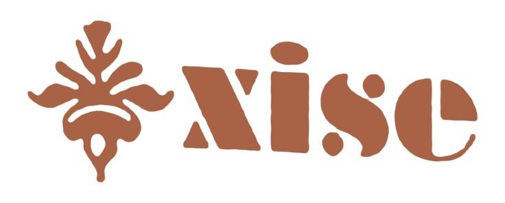 XISE