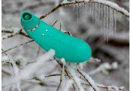 Conoce todo acerca de los succionadores de clítoris